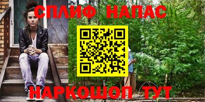 МДПВ Пенза