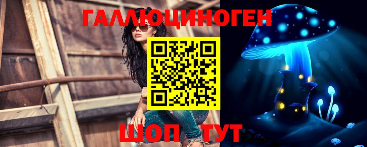 Галлюциногенные грибы прущие грибы  купить наркотики сайты  Отрадный  Вход с VPN 
