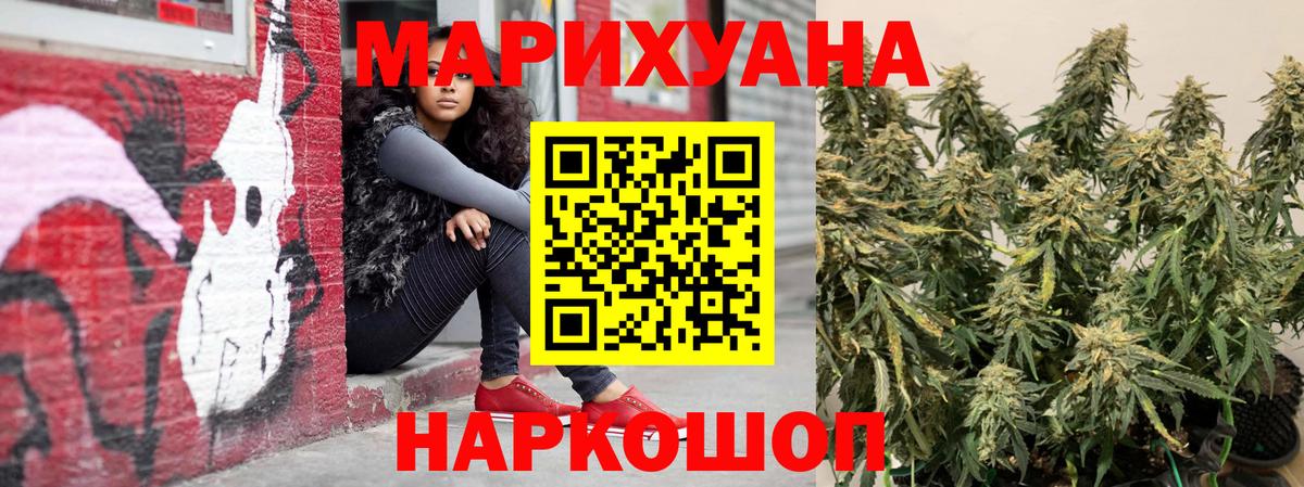 Канабис OG Kush Отрадный